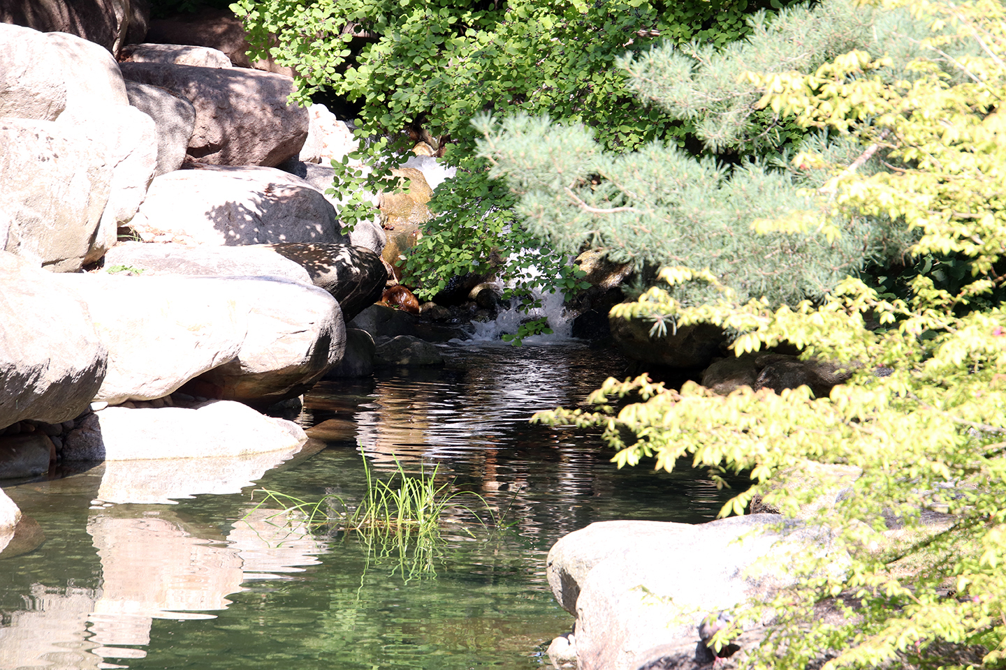 IMG_6420_1440x960