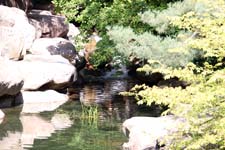 IMG_6420_1440x960